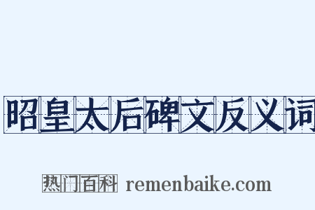 昭皇太后碑文反义词是什么意思的图片